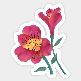 Beautiful Lily Flower Sticker